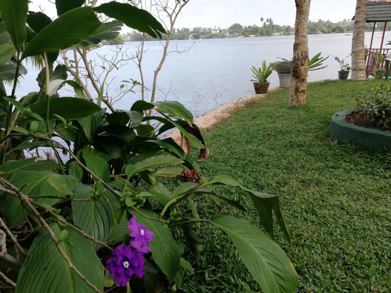 Mahi Villa Bentota Exterior photo